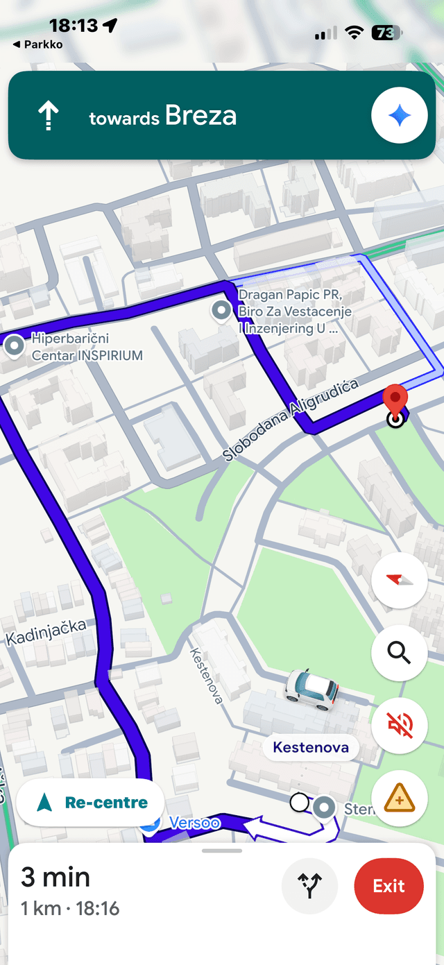 Google Maps navigation to parking zone